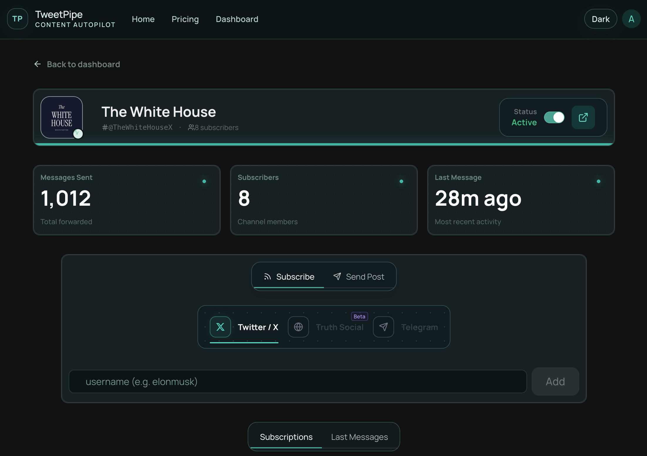 TweetPipe channel detail view with activity chart, webhook list, keyword filter settings, and manual Send Post